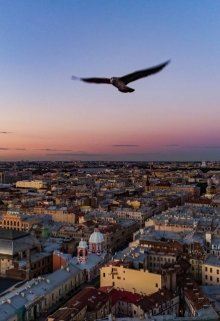 Гном Евсей Петраков litnet.com