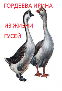 Из жизни гусей litnet.com