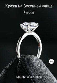 Кража на Весенней улице litnet.com