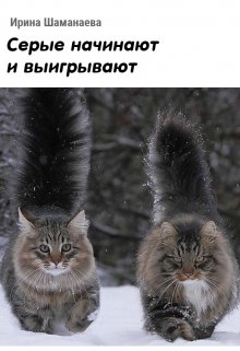 Серые начинают и выигрывают litnet.com