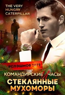 Командирские часы и стеклянные мухоморы litnet.com