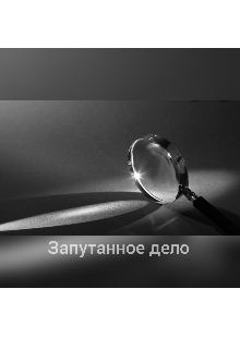Запутанное дело litnet.com