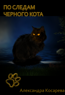 По следам черного кота litnet.com