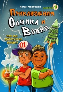 Как мы запускали мышку litnet.com