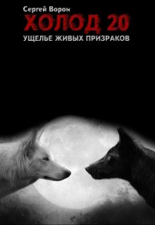 Холод. Сага. Часть 20. Ущелье живых призраков litnet.com