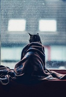 Кофейня Чайны litnet.com