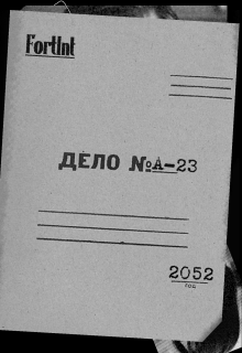 Дело № A-23 litnet.com