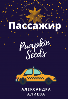 Пассажир litnet.com