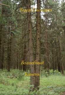 Волшебный камень litnet.com