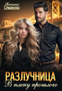 Разлучница. В плену прошлого litnet.com