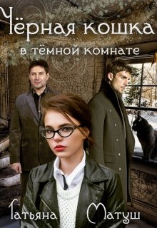 Черная кошка в темной комнате litnet.com