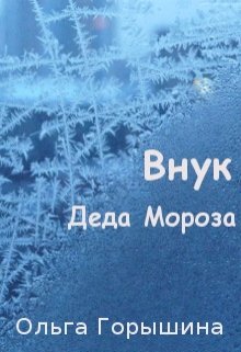Внук Деда Мороза litnet.com