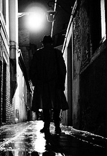Noir litnet.com