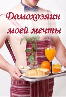 Домохозяин моей мечты litnet.com