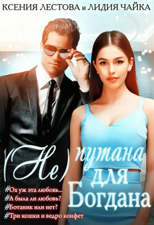 (не)путана для Богдана litnet.com