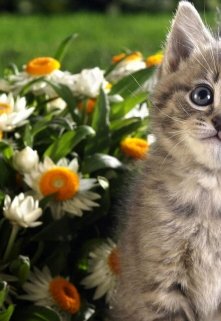 Самый главный человек. litnet.com