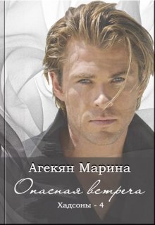 Опасная встреча - серия Хадсоны (книга 4) litnet.com