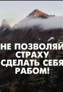 Совесть и страх litnet.com