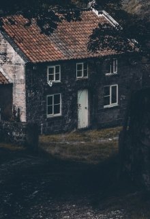 Свет на чердаке litnet.com