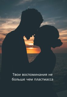 Твои воспоминания не больше чем пластмасса litnet.com