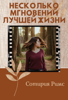 Несколько мгновений лучшей жизни litnet.com