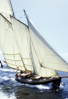 Летняя сказка (сказочки для настоящих девочек) litnet.com