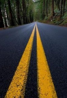 Последний рейс litnet.com