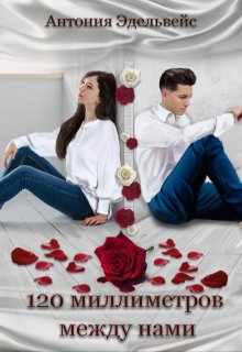 120 миллиметров между нами litnet.com
