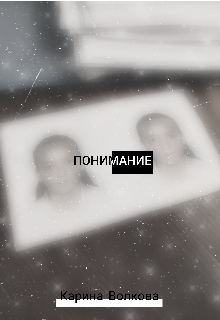 Понимание litnet.com