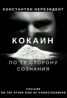Кокаин. По ту сторону сознания litnet.com
