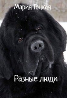 Разные люди. Чайковский. Времена года. Декабрь litnet.com