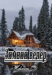 Зимний вечер litnet.com