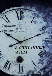 В считанные часы litnet.com