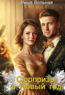 Сюрпризы в Новый год litnet.com