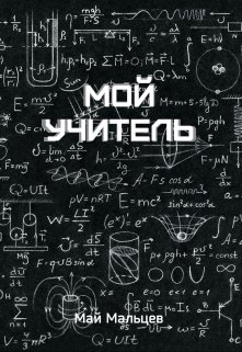 Мой учитель litnet.com