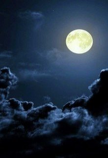 Ангел как соучастник litnet.com