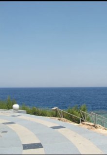 Сентябрь. Море. Любовь litnet.com
