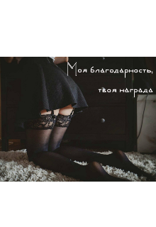Моя благодарность, твоя награда litnet.com