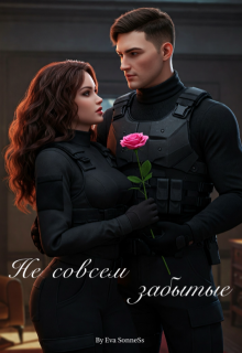 Не совсем забытые litnet.com