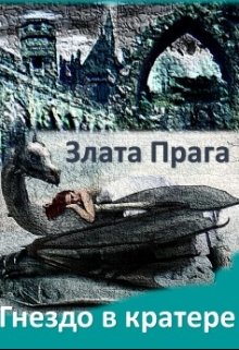 Гнездо в кратере litnet.com