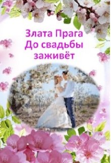 До свадьбы заживёт litnet.com