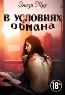 В условиях обмана litnet.com