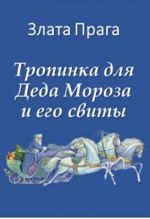 Тропинка для Деда Мороза и его свиты litnet.com