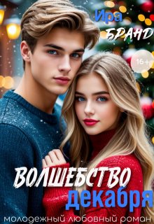 Волшебство декабря litnet.com