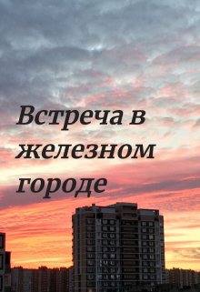 Встреча в железном городе litnet.com