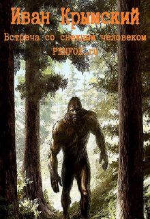 Встреча со снежным человеком litnet.com
