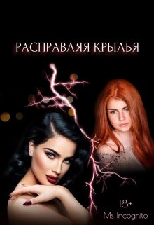 Расправляя Крылья litnet.com