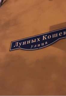 Улица Лунных Кошек litnet.com