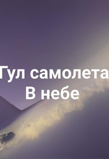 гул самолета в небе. litnet.com