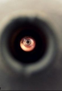 Девушка с волосами цвета прошлогодней соломы litnet.com